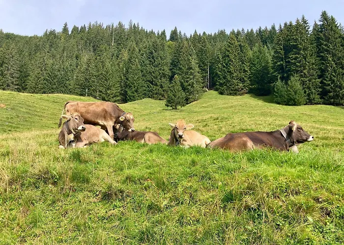 Ferienwohnung Bergleuchten